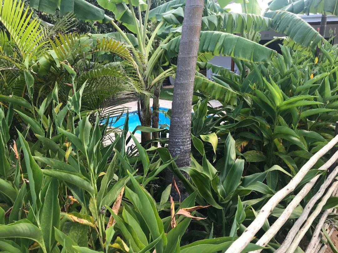 Saint Lucia Estuary62 Hornbill Street别墅 外观 照片